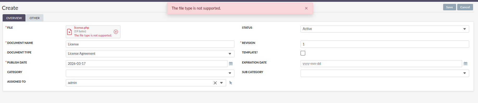 Invalid File Type Error